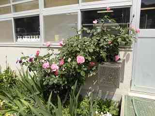CIMG0292