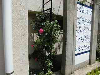 CIMG0291
