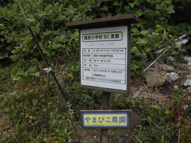 CIMG1337