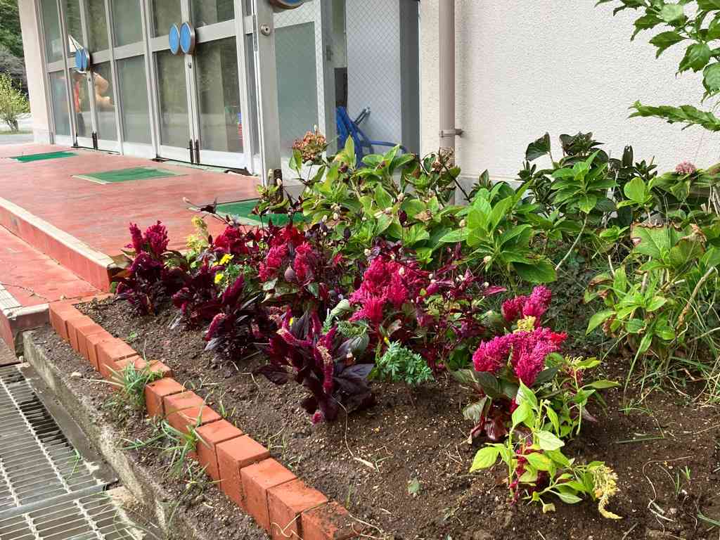 来客用花壇