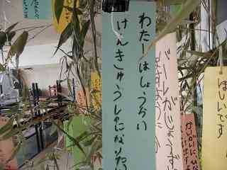 CIMG9704