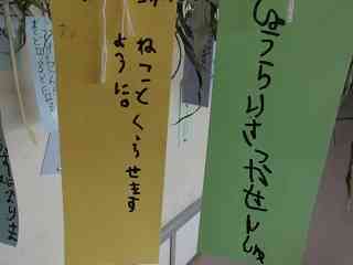 CIMG9708