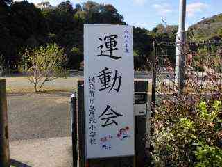 50CIMG0753